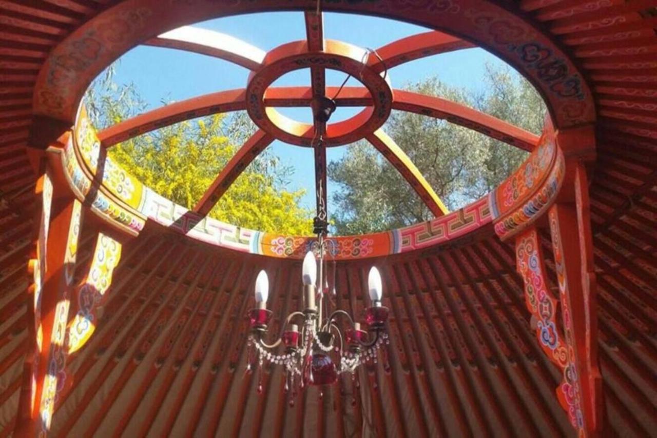 Eldorado Yurt Hotel Алгаробо Екстериор снимка